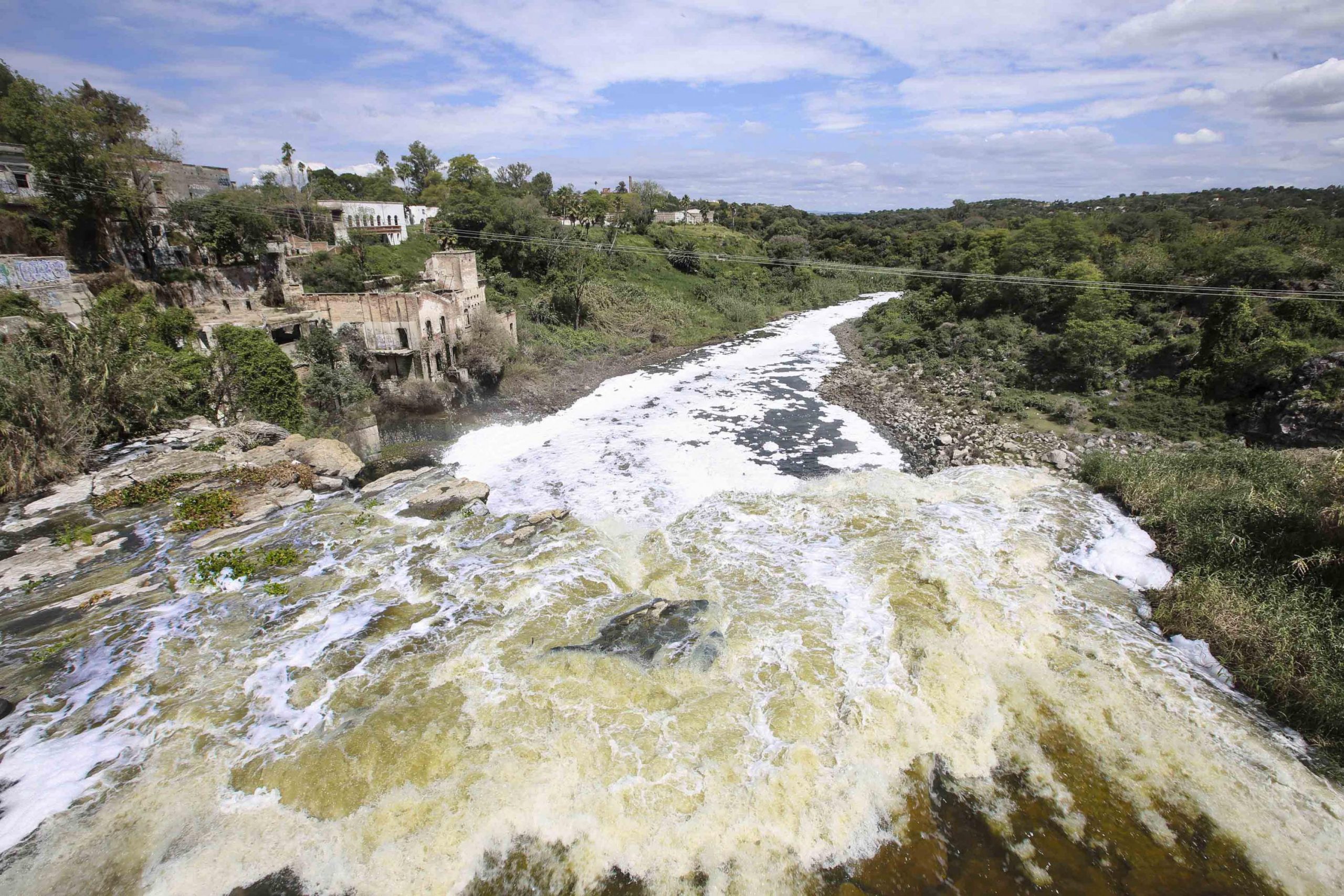 Del Rio Detect El Río Santiago ya no solo está contaminado; estudios detectan daño en ...